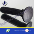 Carriage Bolt with Black Surface